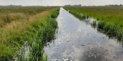 Beleving Tussen Doarp En Lanskip